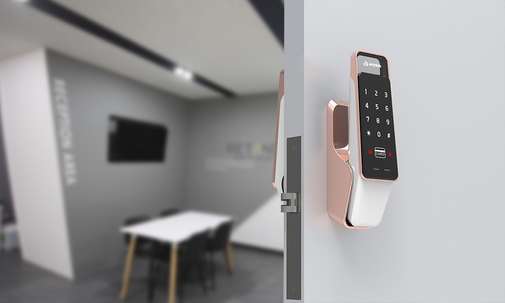 push pull door locks