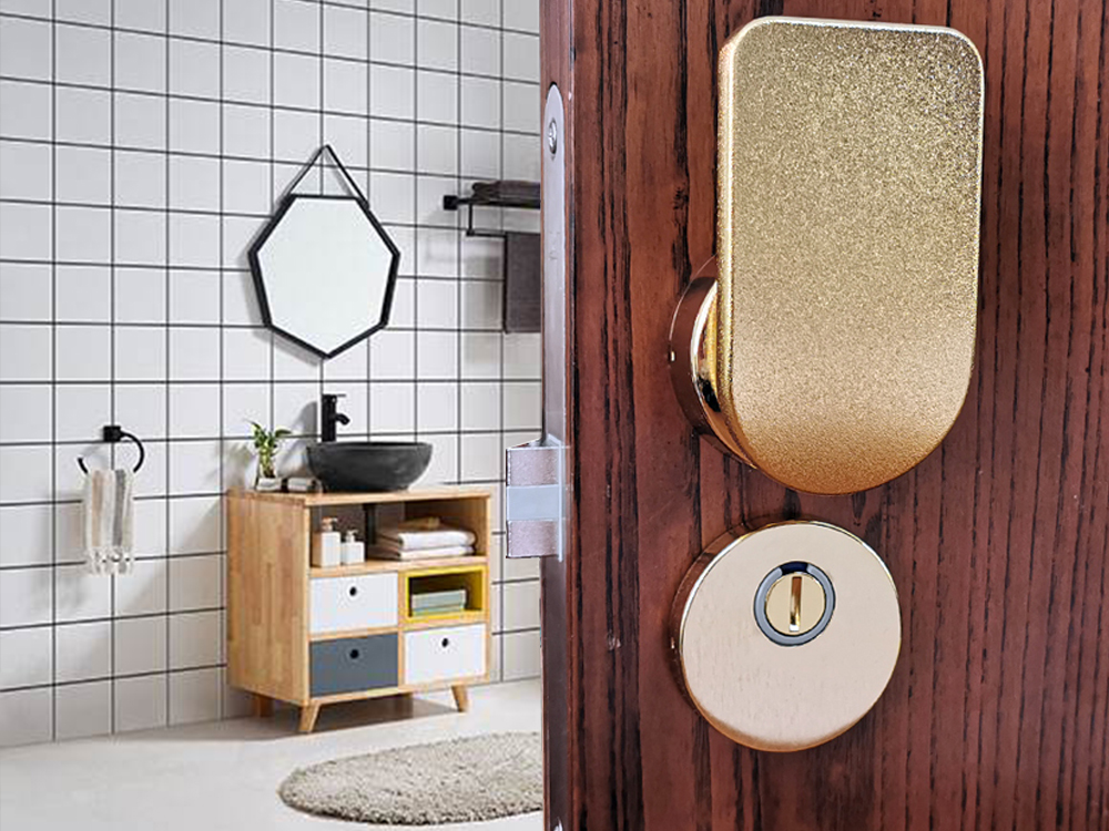 push pull door locks